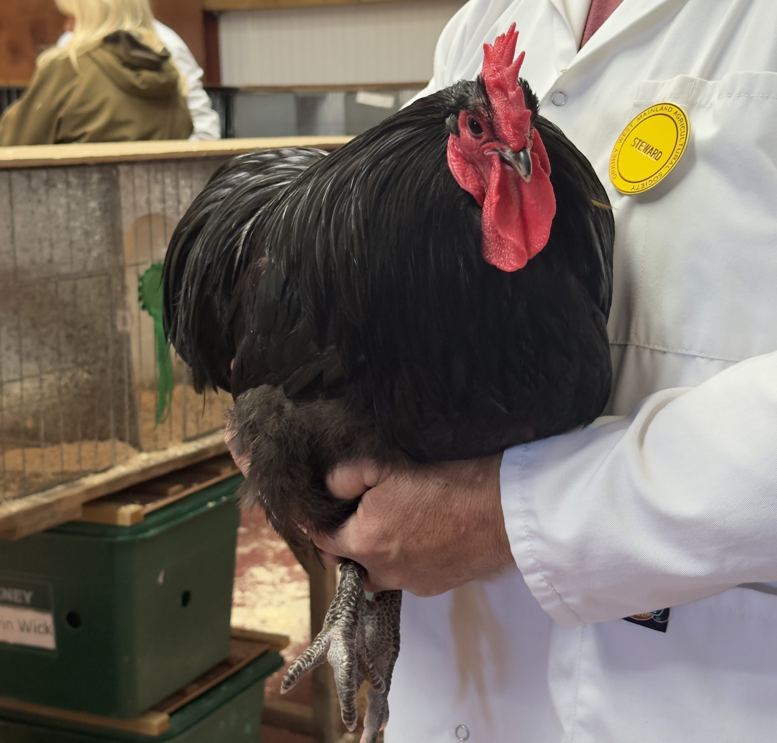 Sunny Dounby Show delights