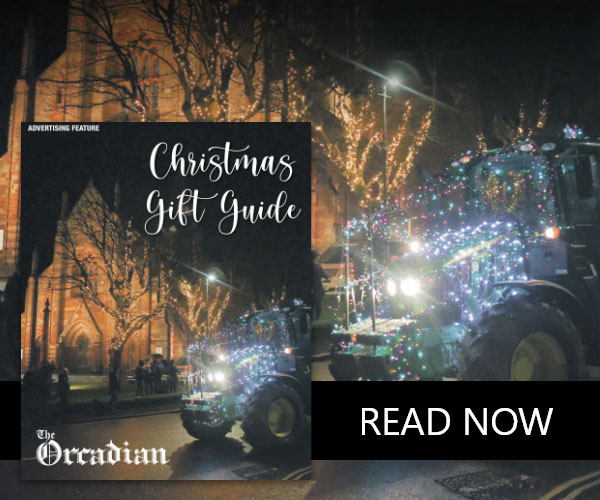 Christmas Gift Guide Feature