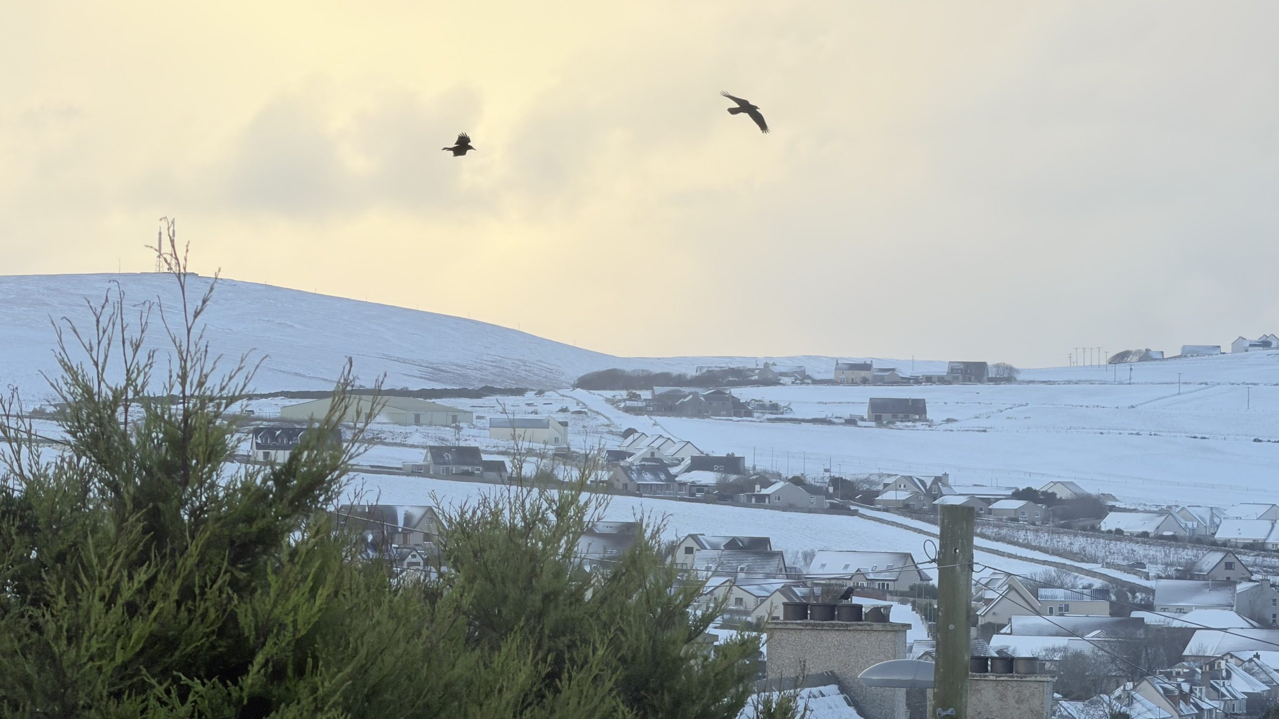 NHS Orkney cancels appointments amid snow