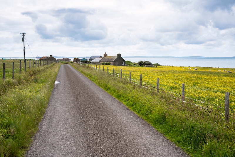 Councillor questions roadside cut reduction