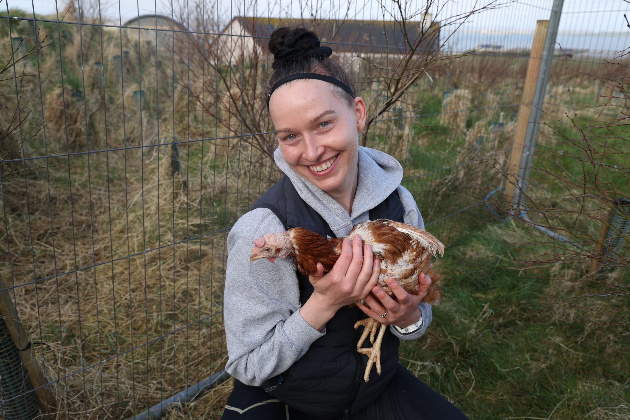 Battery hens’ clucky rescue by Deerness couple