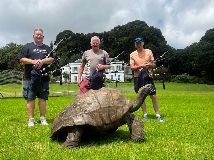 Tortoise hoax debunked by Orkney vet