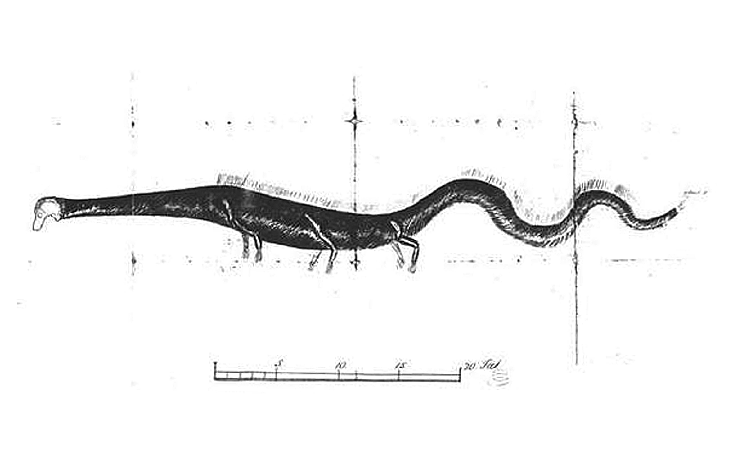 ‘Monster’ remains return to Orkney