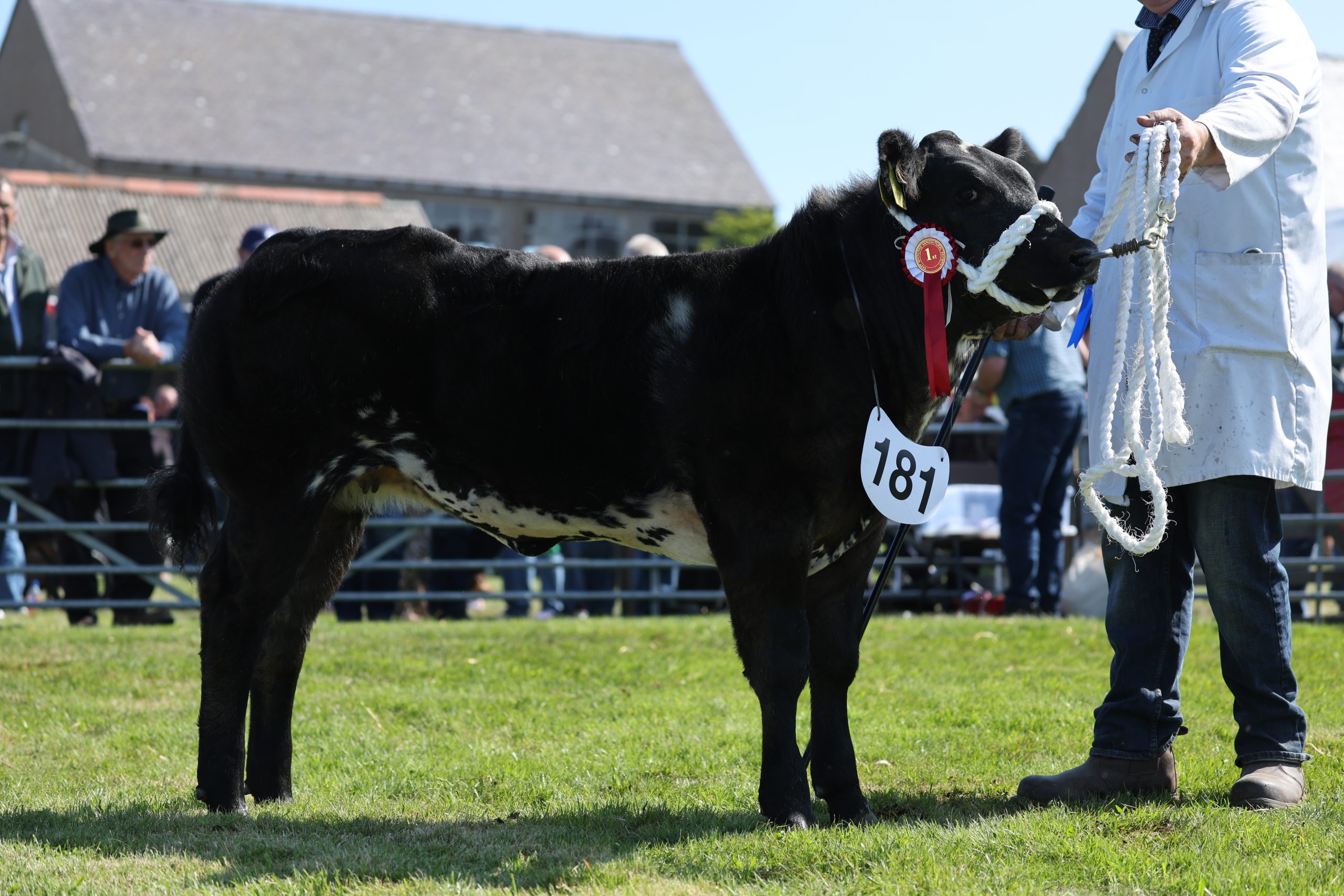 It’s East Mainland Show Day!