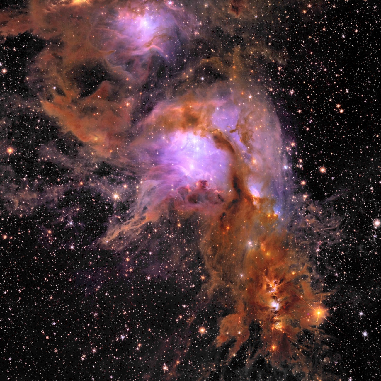 An odyssey from space to Swona at science festival