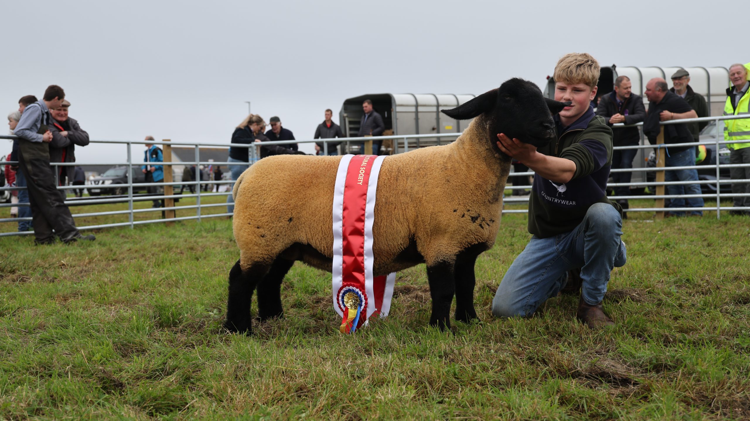 Murray Scott’s Suffolk champion at the ‘Hope Show