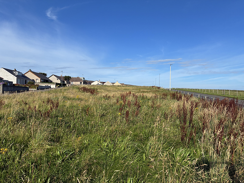 Kirkwall vets refused permission for proposed new practice