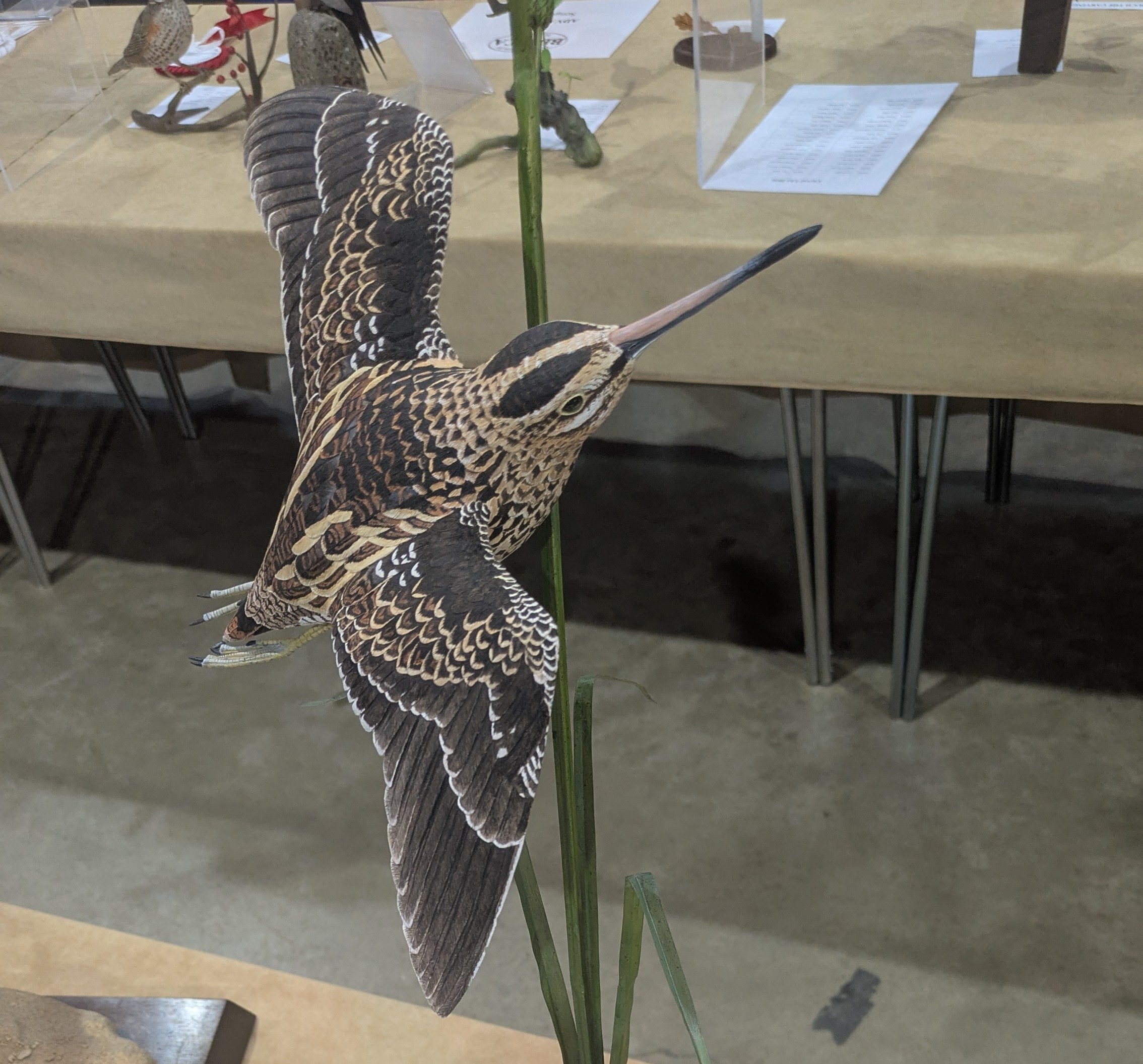 Stronsay snipe carving is best in Britain