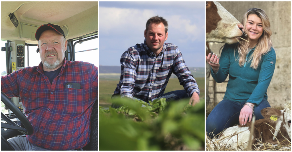 Orkney farming trio in line for industry awards