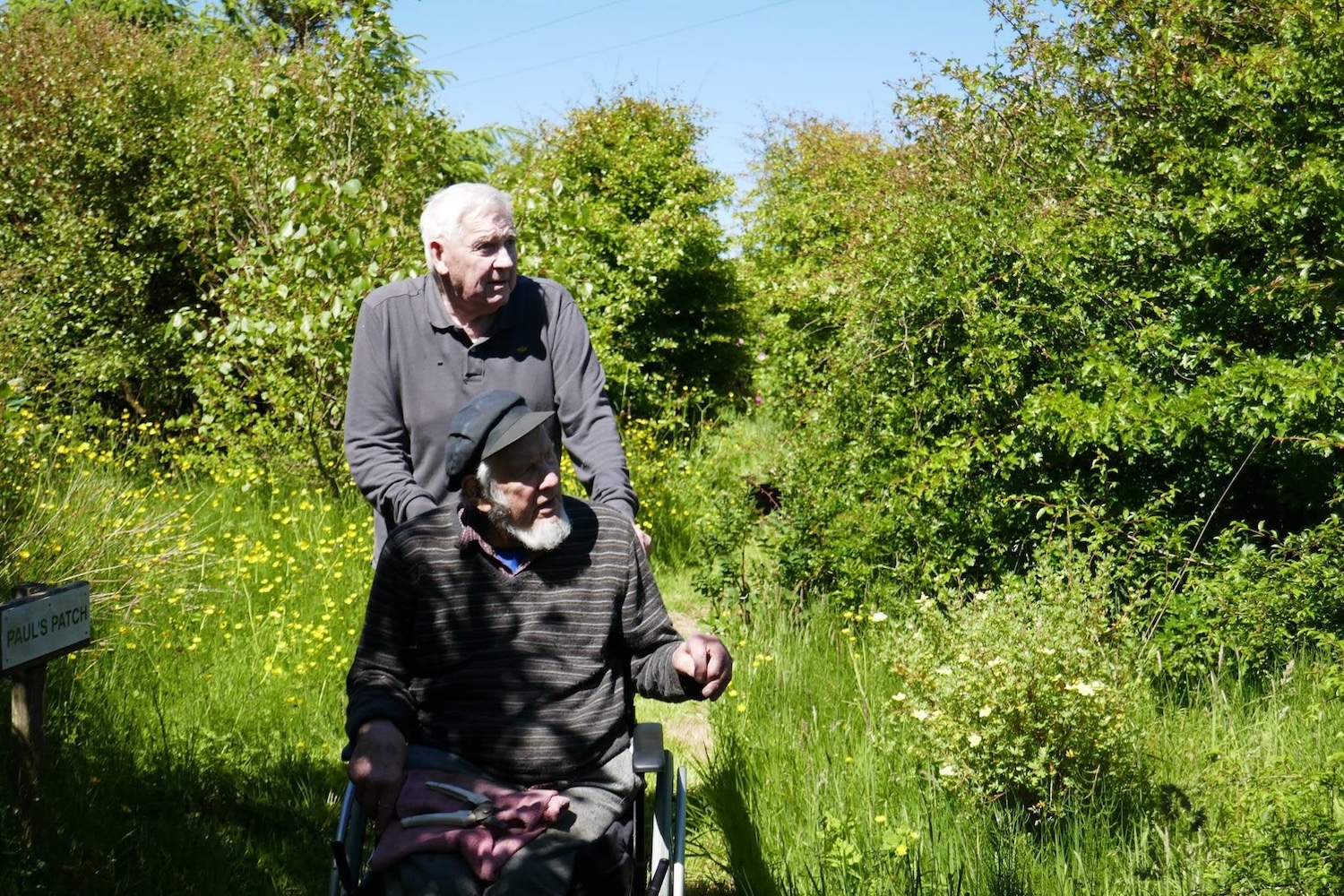 Cherished woodland could be set for community ownership